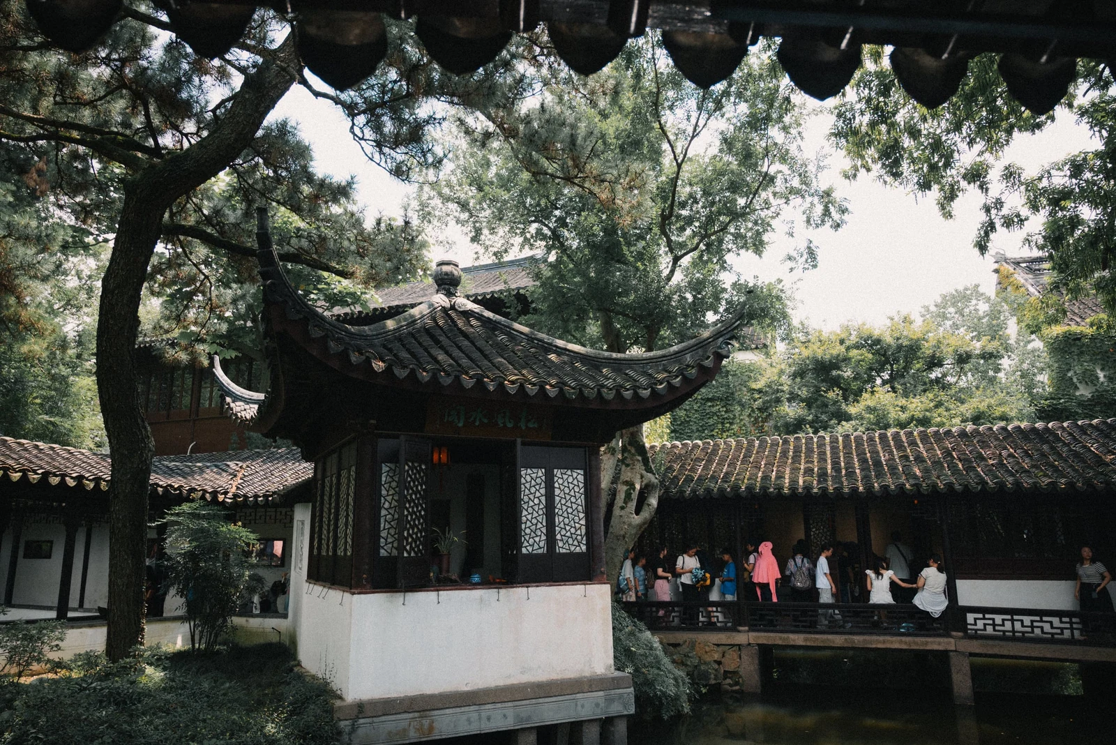 拙政园：在人潮里找秩序，照片 1