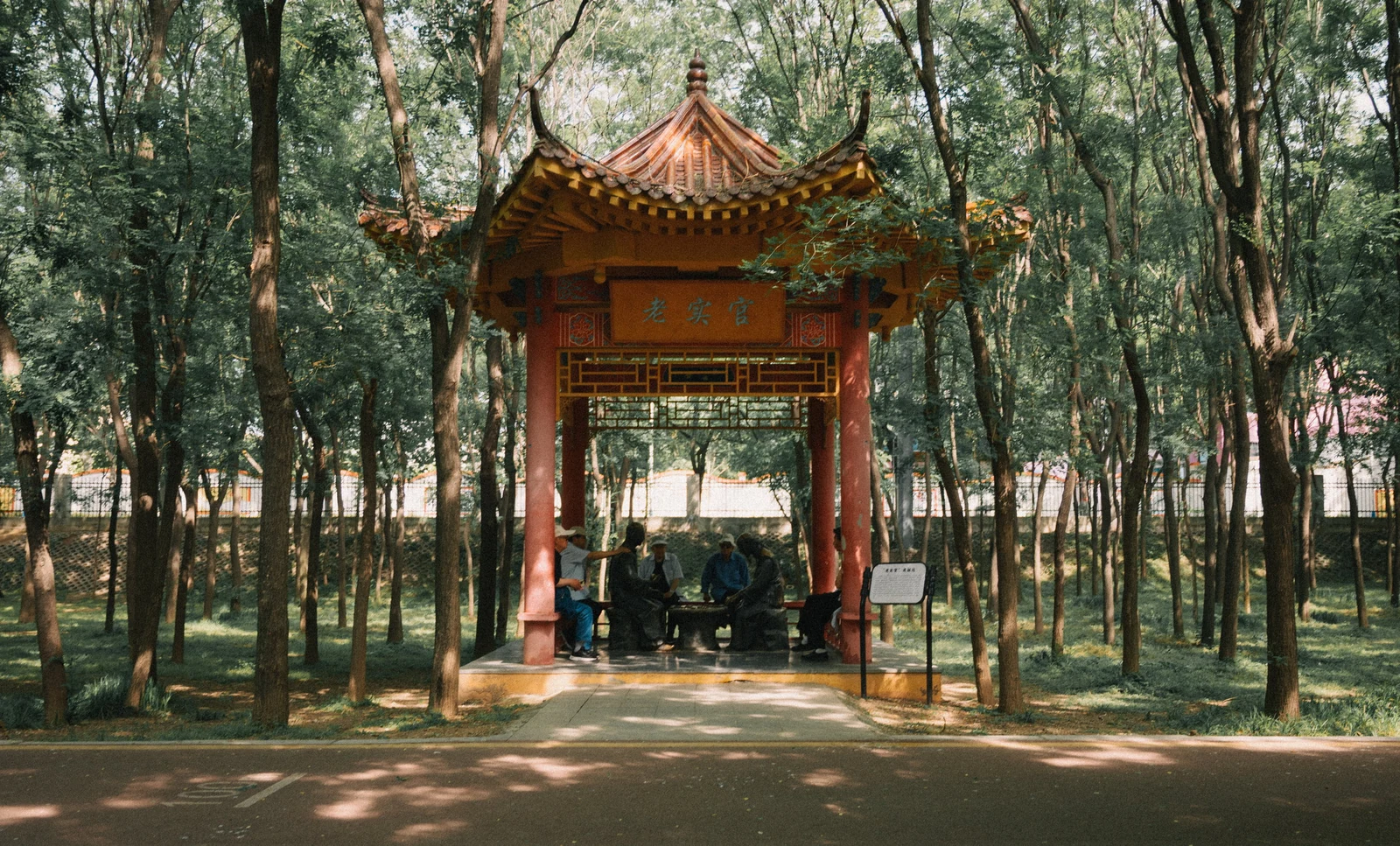偃师的四月：树荫下的日常，照片 1